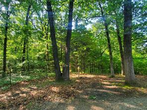 456 PR 41 - Photo 29