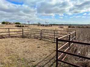 TBD Rice Road - Photo 2