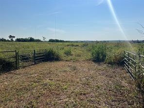 TBD Rice Road - Photo 3