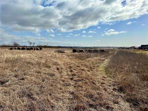 TBD Rice Road - Photo 6