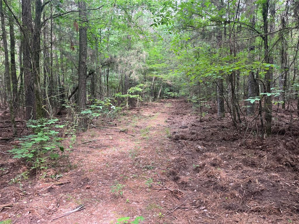 0000 FM 1699 - Photo 11