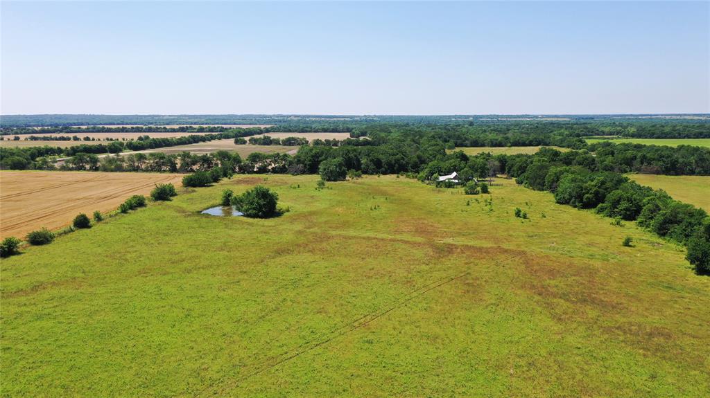 2516 County Road 1017 - Photo 10