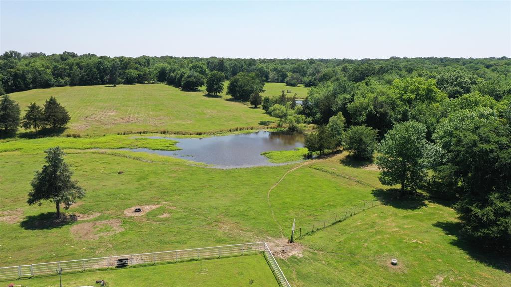 2516 County Road 1017 - Photo 11