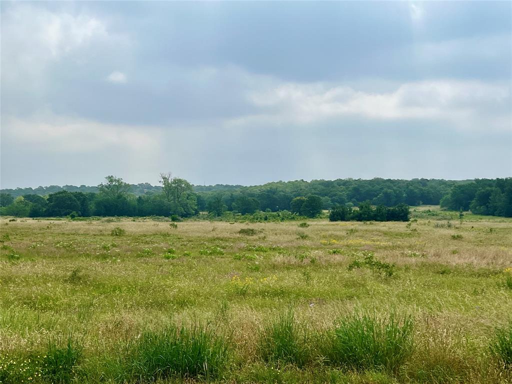 Tract 7 S. Ranch Dr. - Photo 1