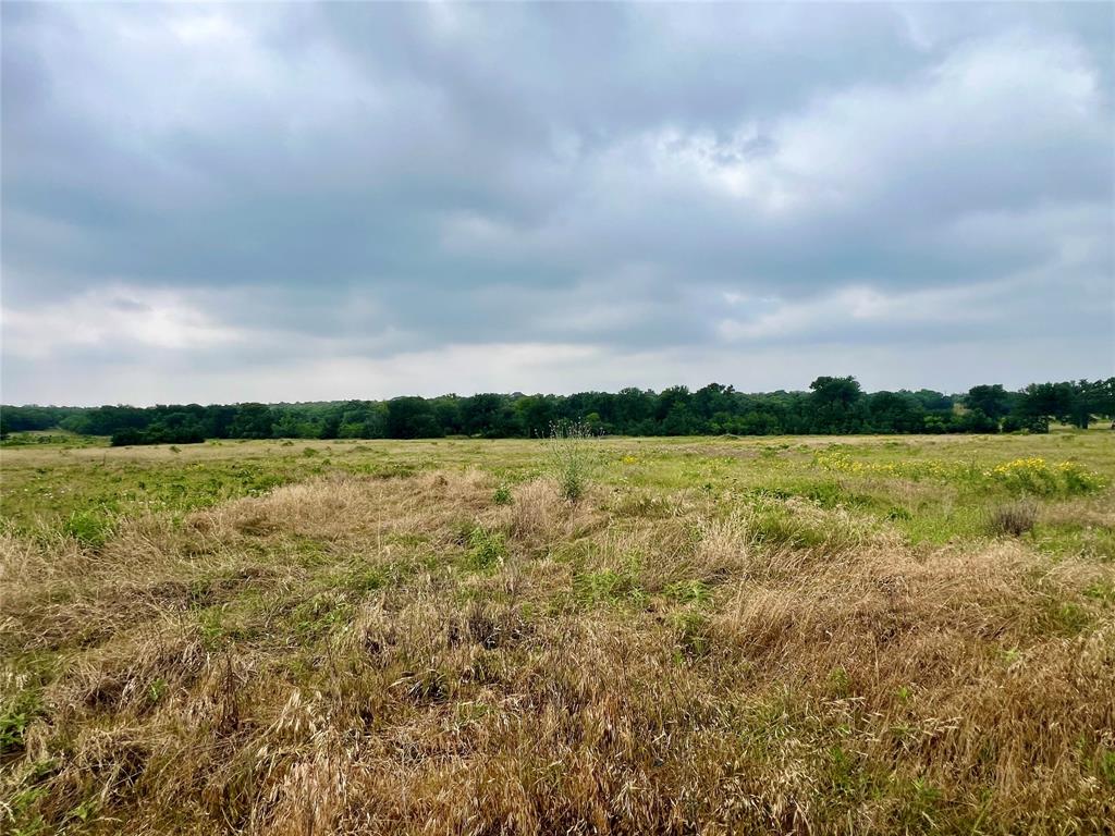 Tract 7 S. Ranch Dr. - Photo 13