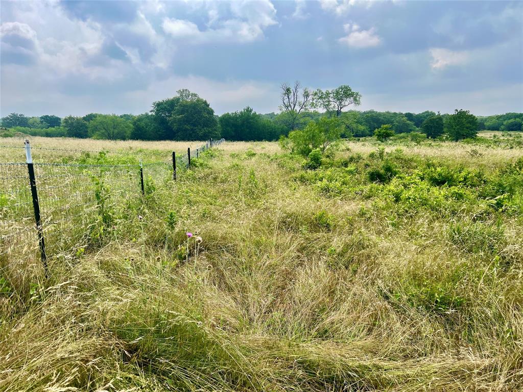 Tract 7 S. Ranch Dr. - Photo 15
