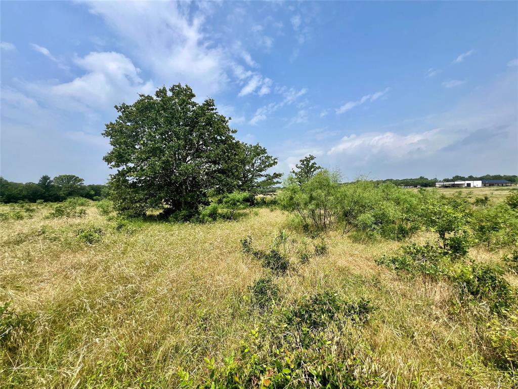 Tract 7 S. Ranch Dr. - Photo 2