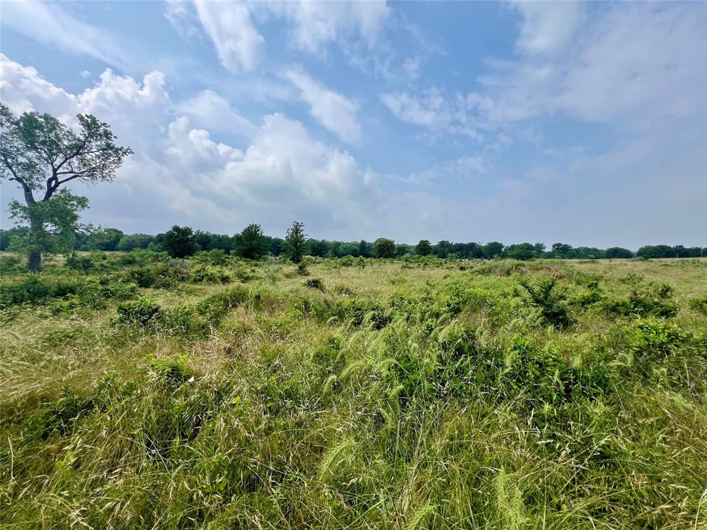 Tract 7 S. Ranch Dr. - Photo 20