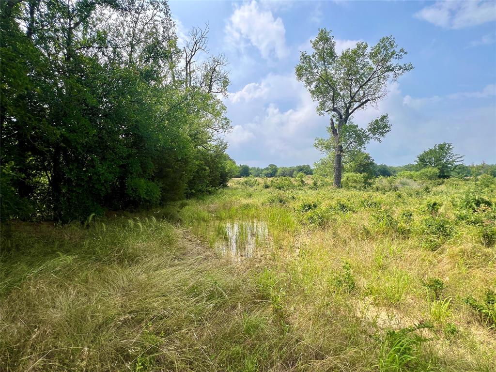 Tract 7 S. Ranch Dr. - Photo 22