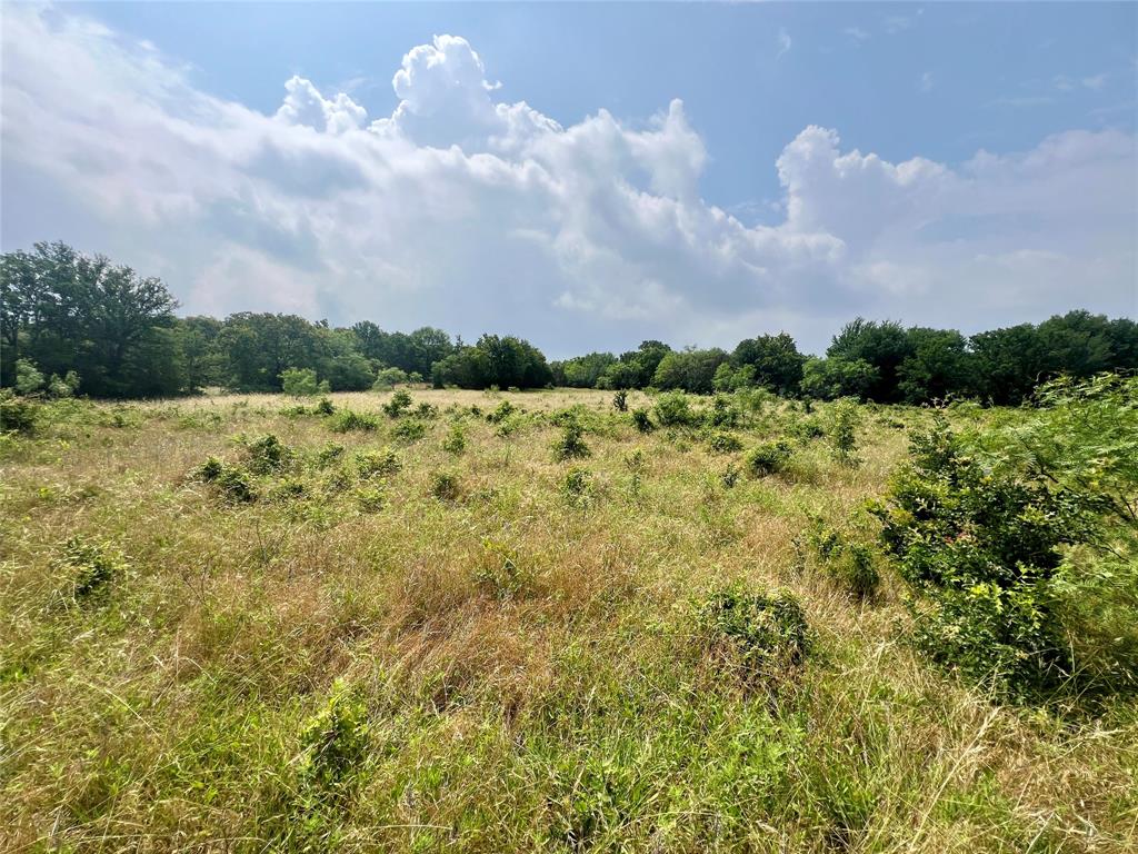 Tract 7 S. Ranch Dr. - Photo 23