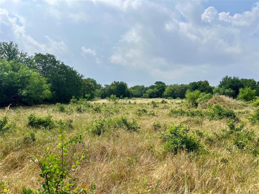 Tract 7 S. Ranch Dr. - Photo 4