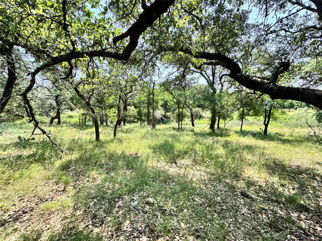 848 Oak Point Drive - Photo 9