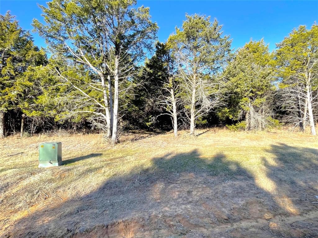 847 Eagle Oaks Drive - Photo 2