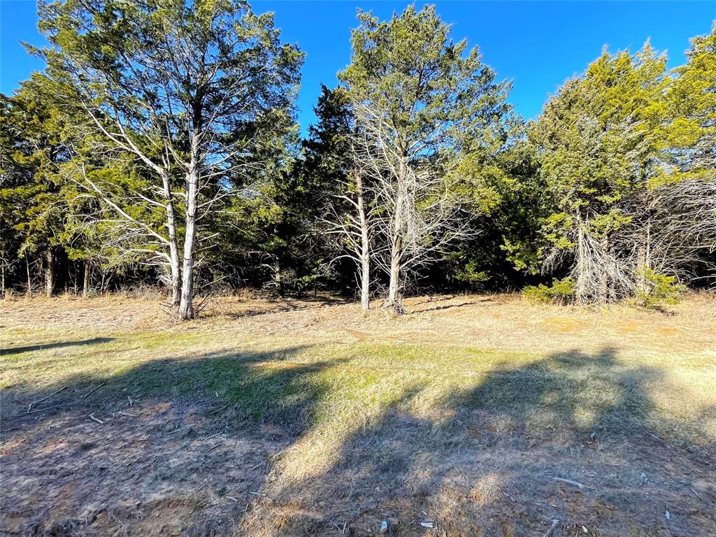 847 Eagle Oaks Drive - Photo 3