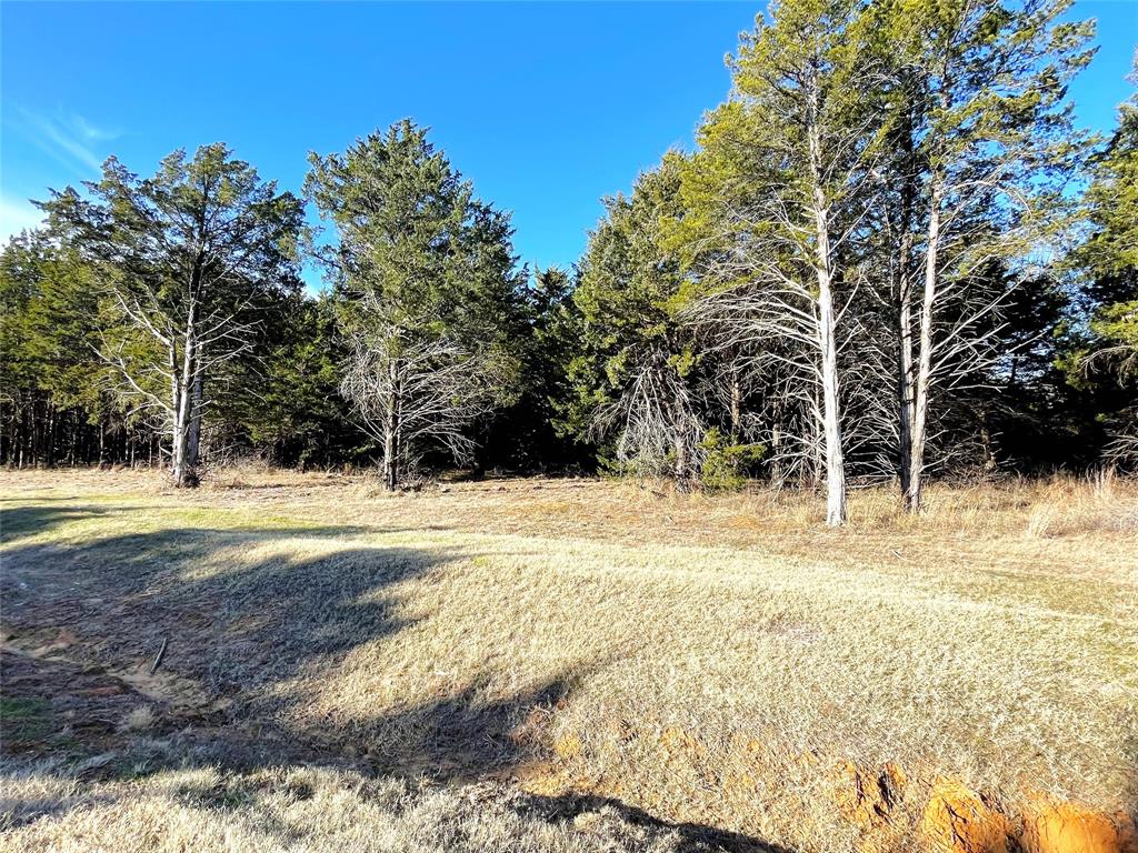 847 Eagle Oaks Drive - Photo 4