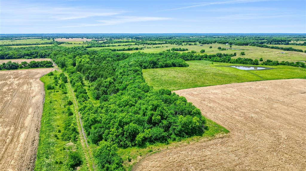 TBD County Rd 3489 - Photo 20
