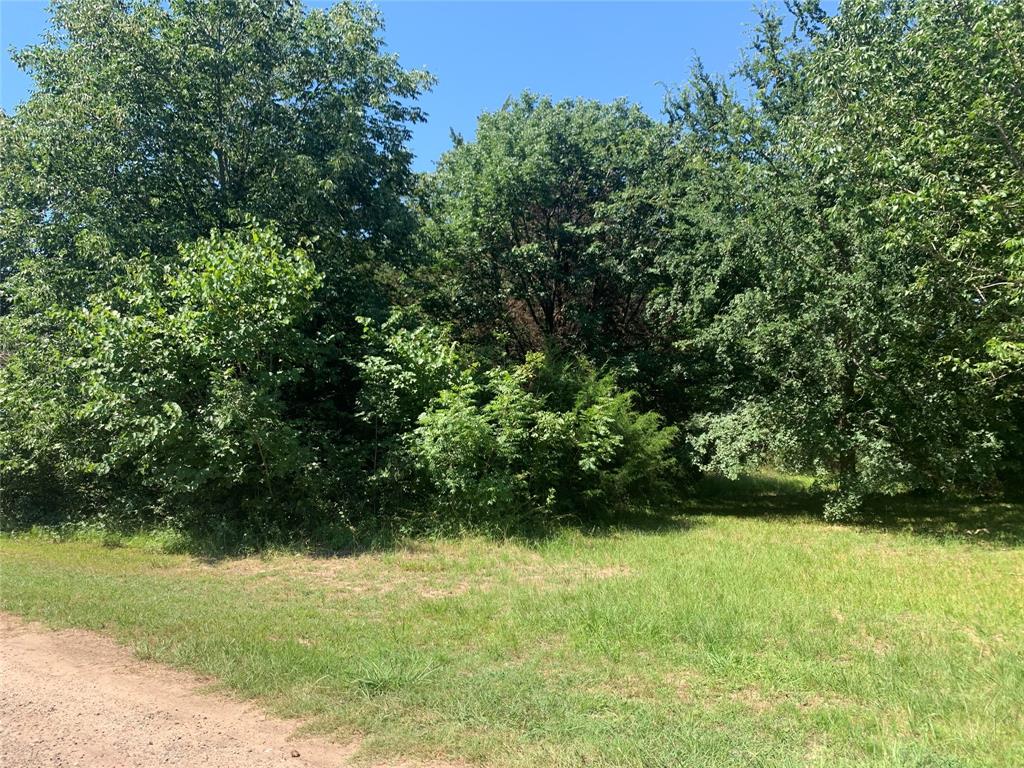 TBD VZ County Road 3718 - Photo 4