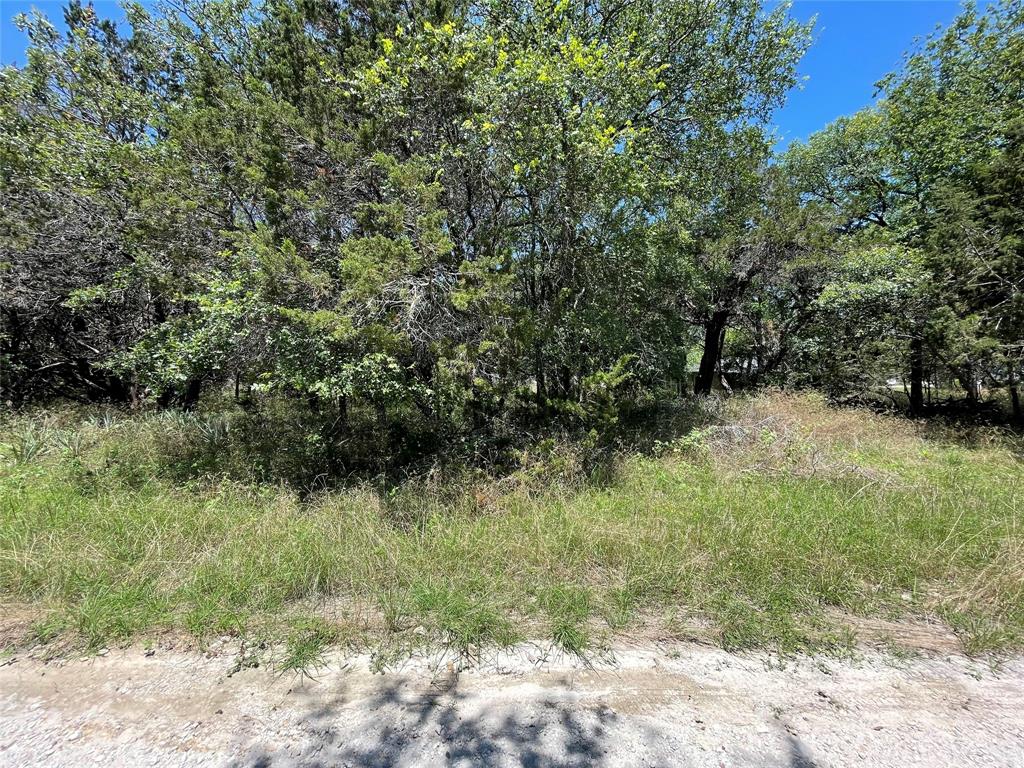 TBD County Road 1527 - Photo 2