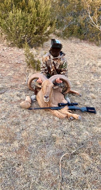 1089 Tennyson Road - Photo 24