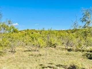 1089 Tennyson Road - Photo 38