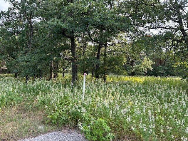 3.760 acres Boyd Road - Photo 2