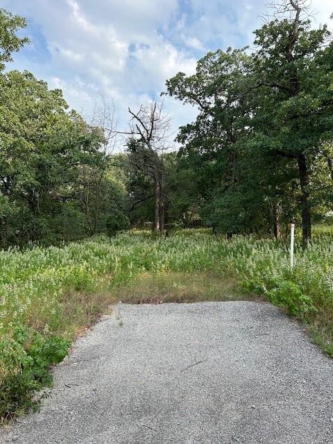 3.760 acres Boyd Road - Photo 5