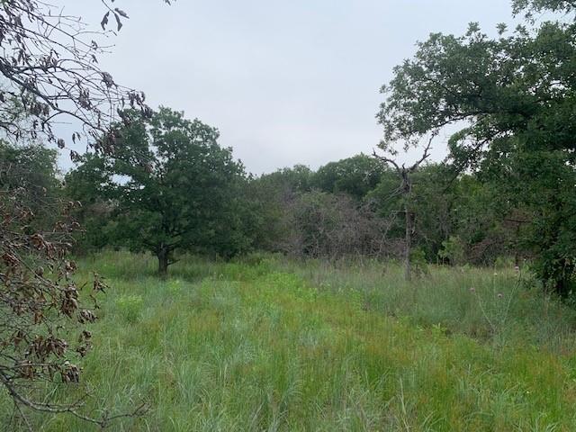 3.78 acres Boyd Road - Photo 2