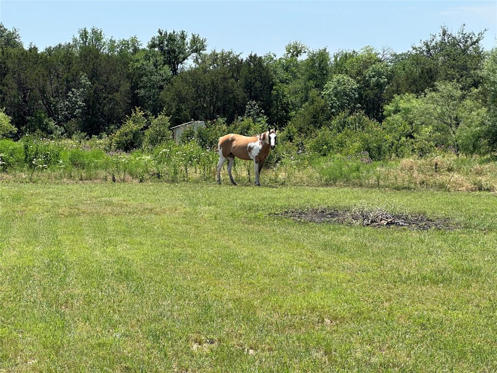 1791 Crawford Lane - Photo 9