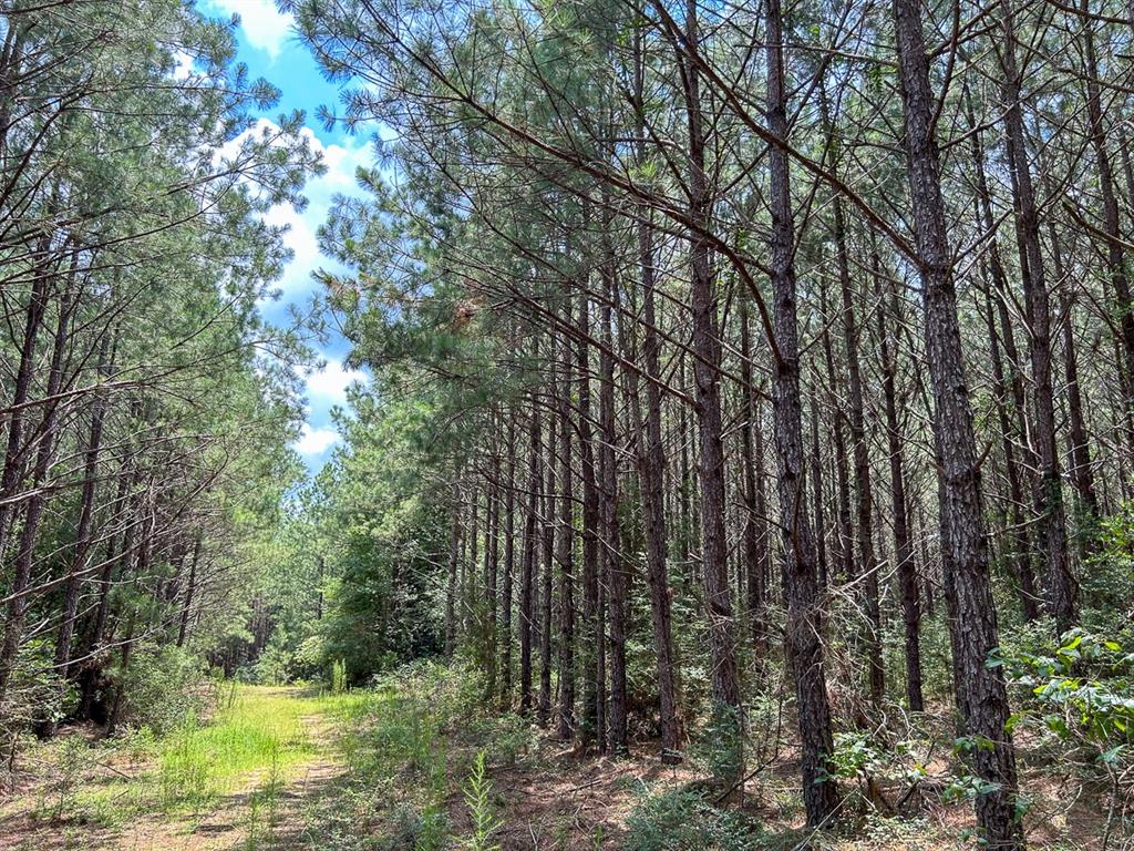 0 County Line Road - Photo 11
