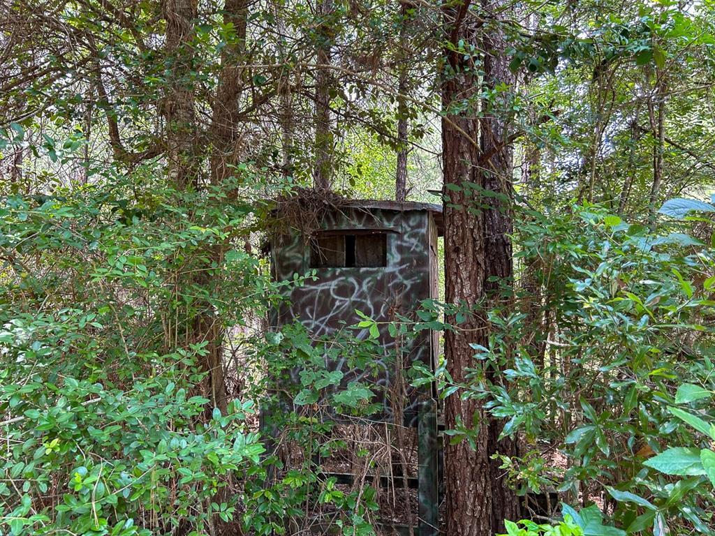 0 County Line Road - Photo 12