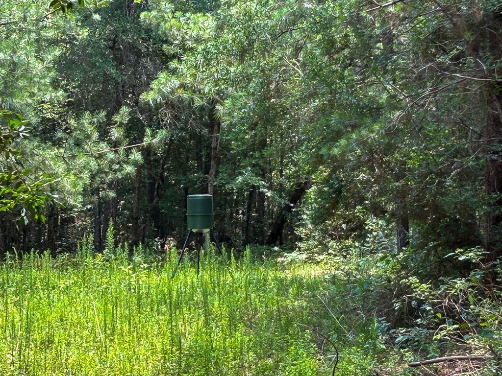 0 County Line Road - Photo 13