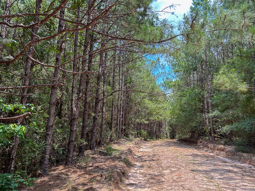 0 County Line Road - Photo 14
