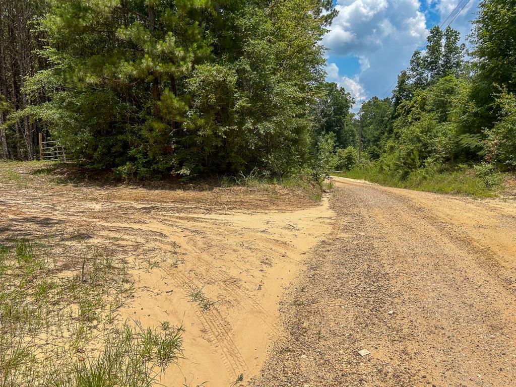 0 County Line Road - Photo 15