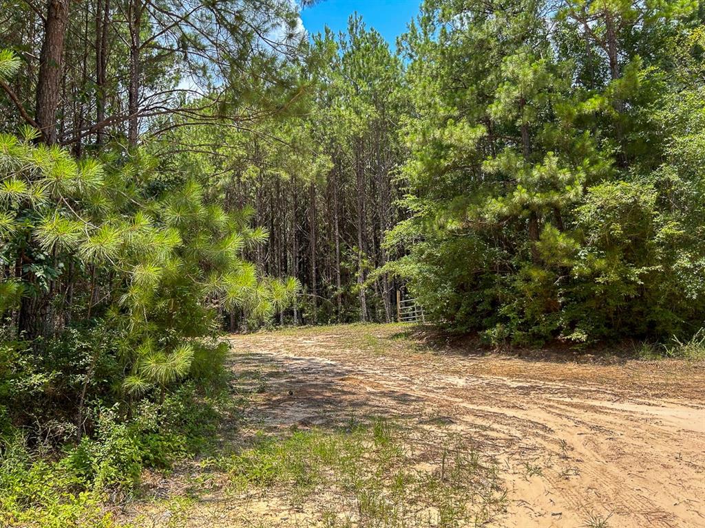 0 County Line Road - Photo 16