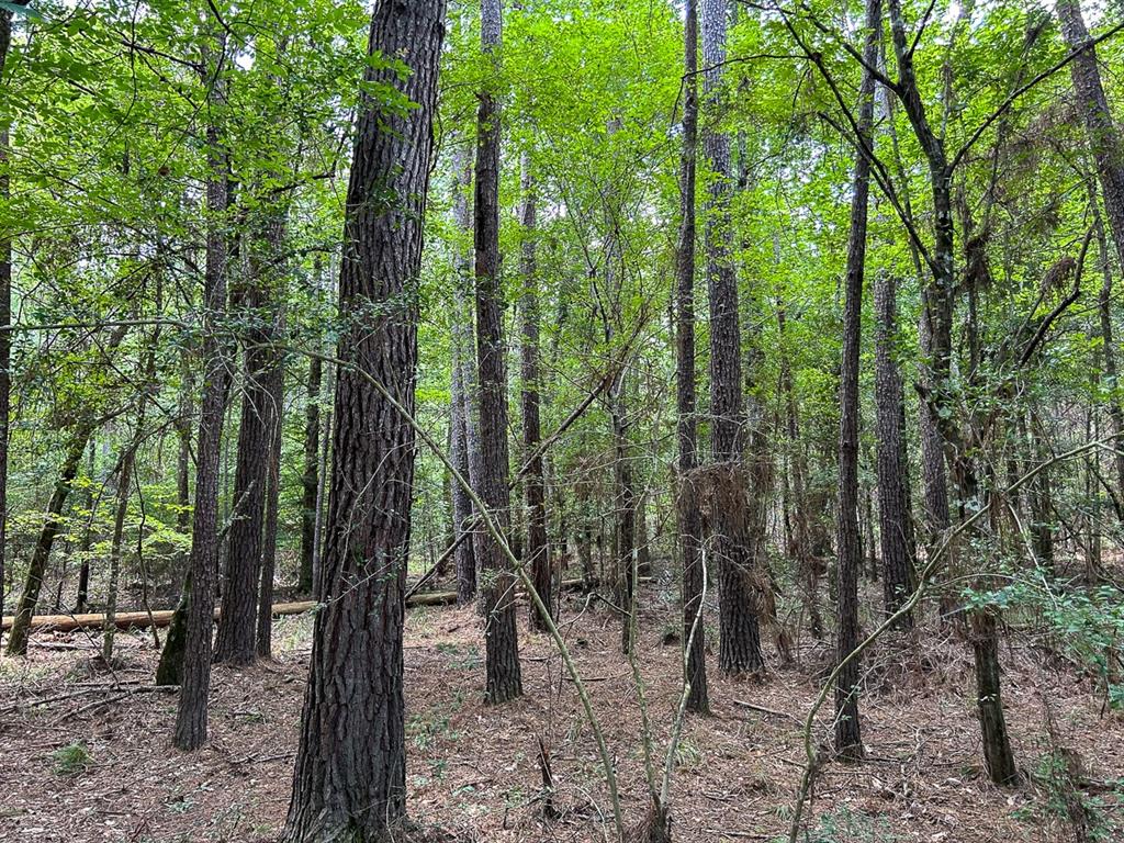 0 County Line Road - Photo 19
