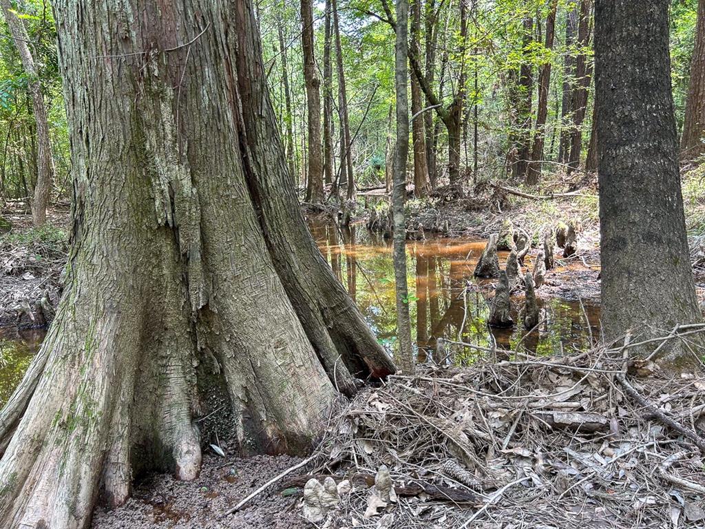 0 County Line Road - Photo 2