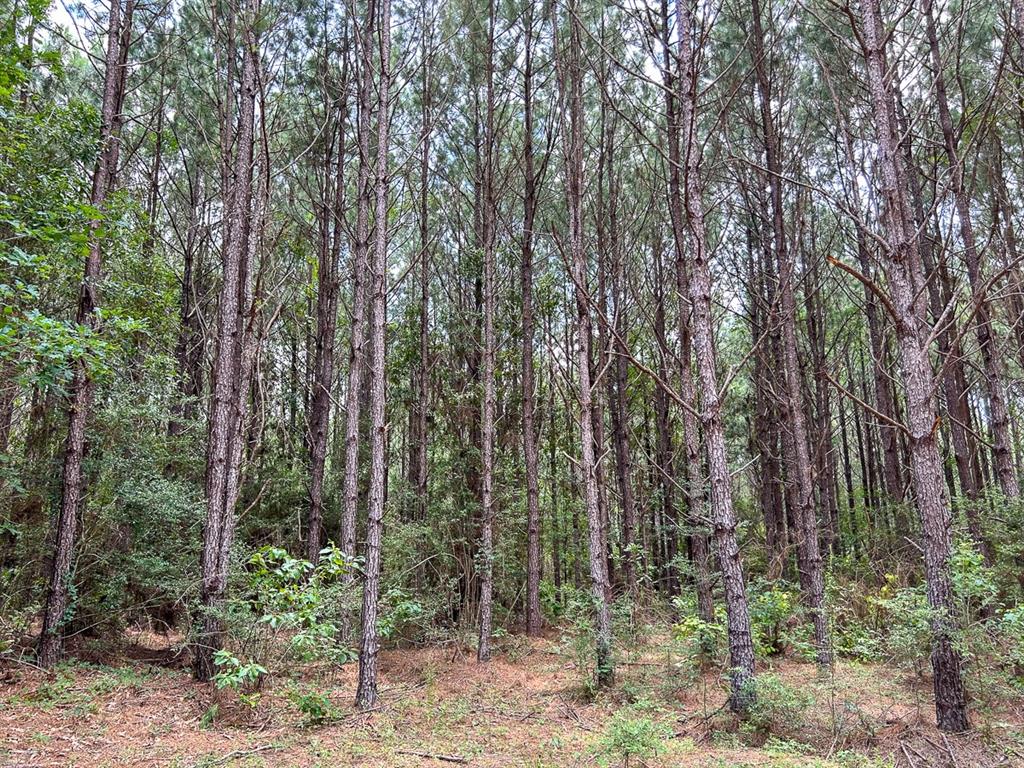 0 County Line Road - Photo 20