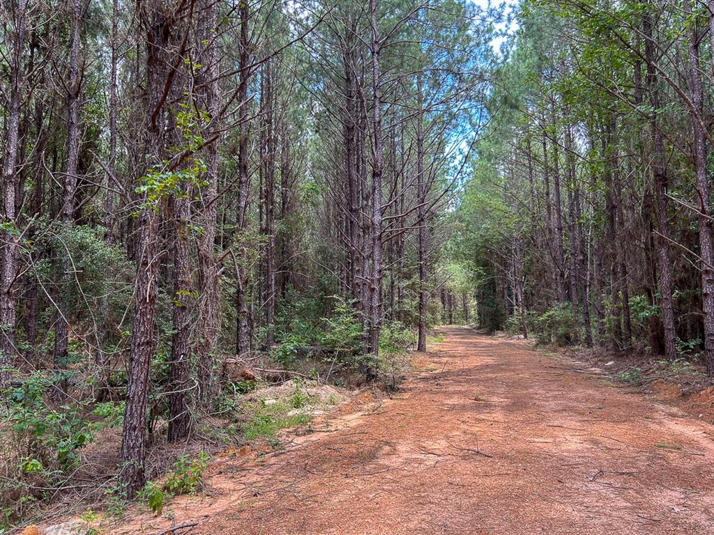 0 County Line Road - Photo 21
