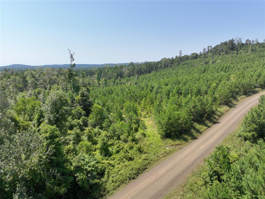 01 Carters Ferry Road - Photo 2