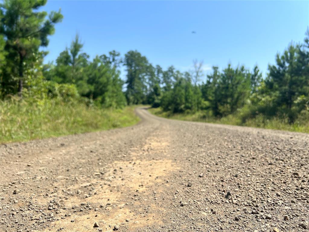 01 Carters Ferry Road - Photo 3