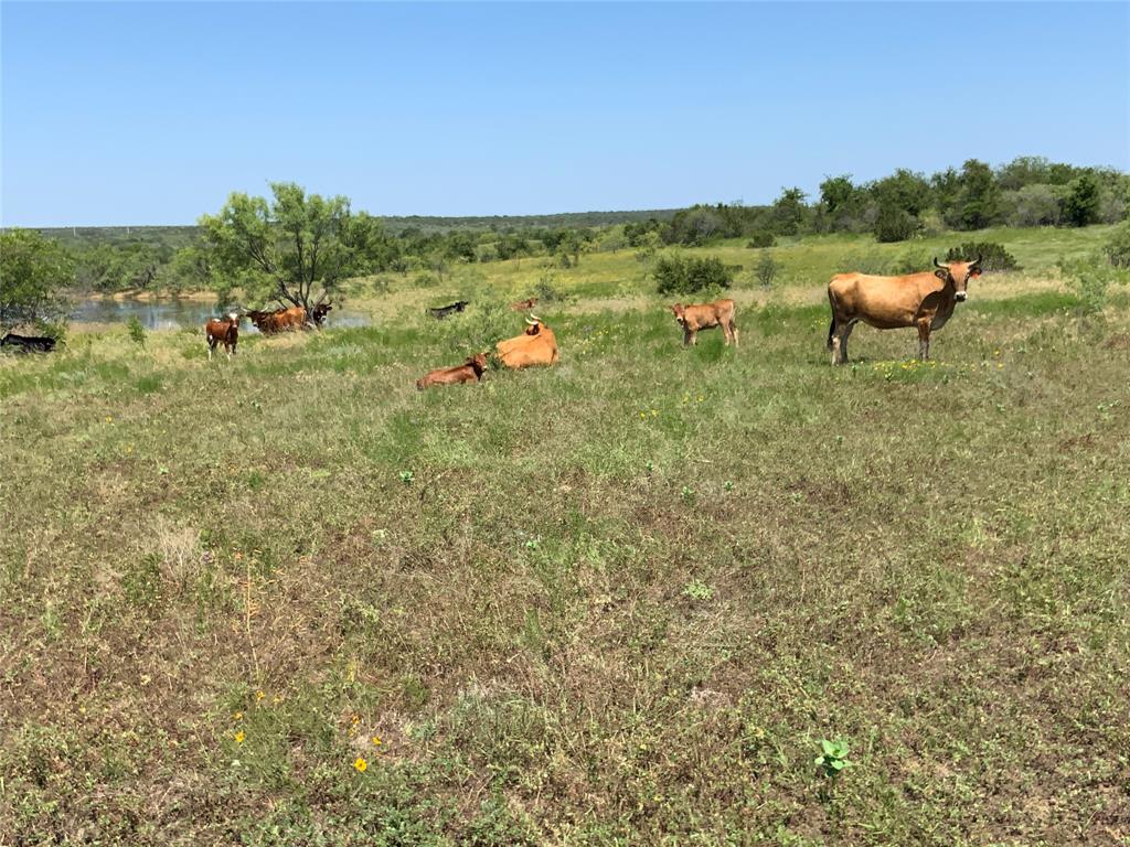 4801 Fm-1702 - Photo 5