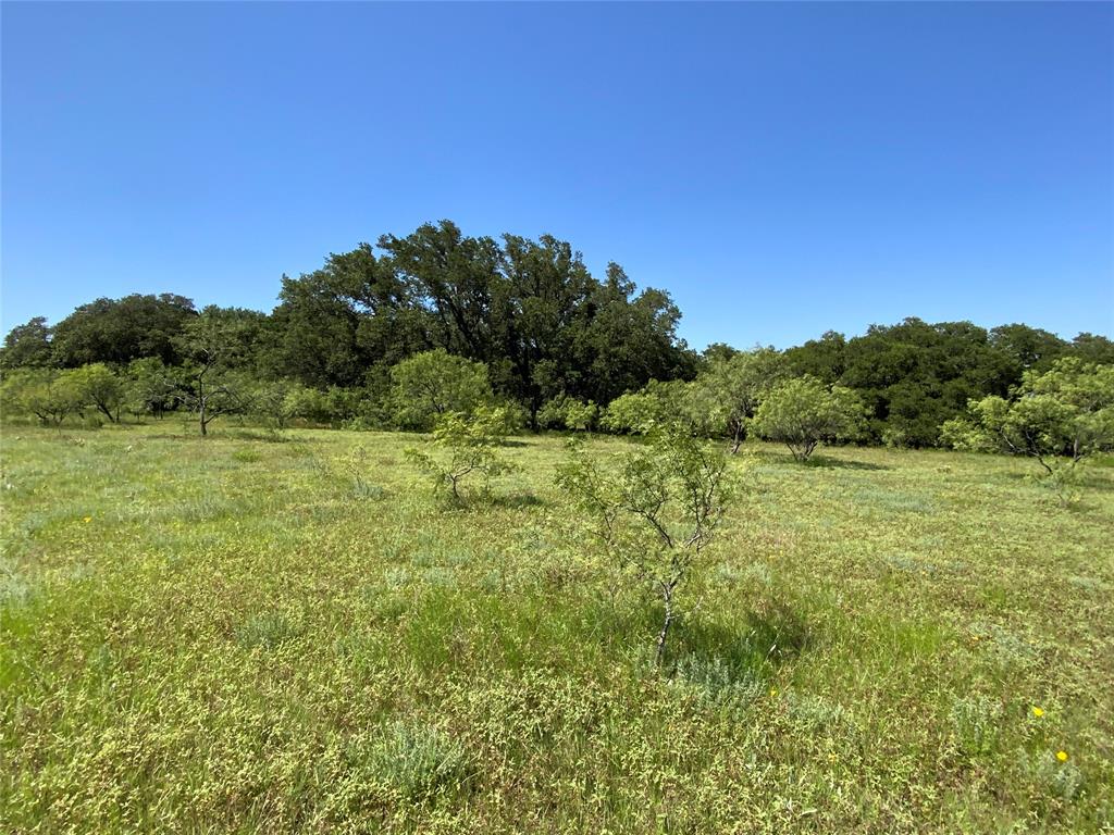 4801 Fm-1702 - Photo 6