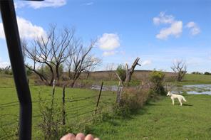 TBD County Road 1226 - Photo 15