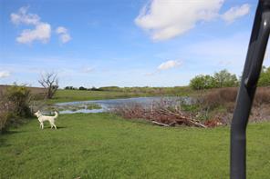 TBD County Road 1226 - Photo 7