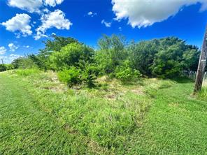 Lots 47 & 79 Bluffview Estates Road - Photo 2
