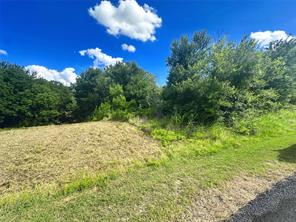 Lots 47 & 79 Bluffview Estates Road - Photo 5