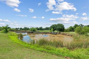 31772 W Fm 8 - Photo 11