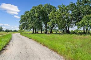 31772 W Fm 8 - Photo 40