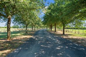 31772 W Fm 8 - Photo 8