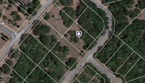 1181 Leaning Oak Trail - Photo 2